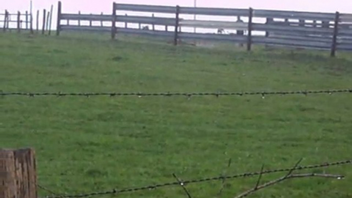 Chassons sous la pluie...  (Equipage ce lièvre)