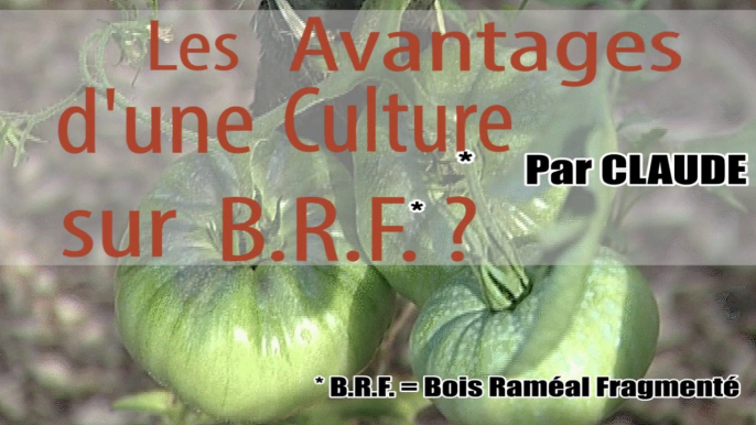 Les avantages d'une culture sur BRF (Bois Raméal Fragmenté)