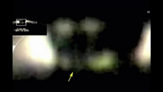 Possible vue d'alien Gris Dans une Video
