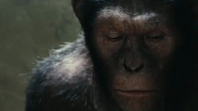 Bande Annonce Rise of the Planet of the Apes HD 1080p trailer