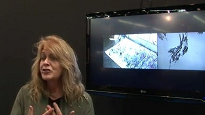 Christina McPhee: Shed / VernissageTV Video Art Program at Open Space, Art Cologne 2011 / Interview