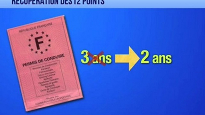 Avocat permis de conduire : délais de récupération des points et du permis de conduire