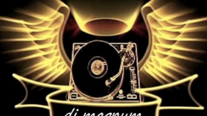 Sean Kingston ft Nicky Minaj - Dutty Love ( DJ Magnum remix )