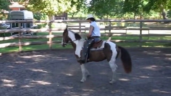 EDUCATION DU CHEVAL  EN EQUITATION AMERICAINE AVEC CHEVAL PAINT HORSE PAR L'EDUCATEUR EQUINS  TONY CLEMENCEAU