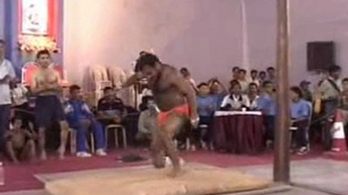 Indian_pole_gymnastics