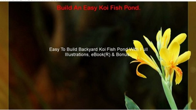 Build An Easy Koi Fish Pond.