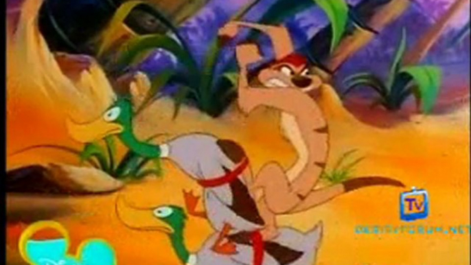 Timon and Pumbaa 16th June 2011 watch video online p3