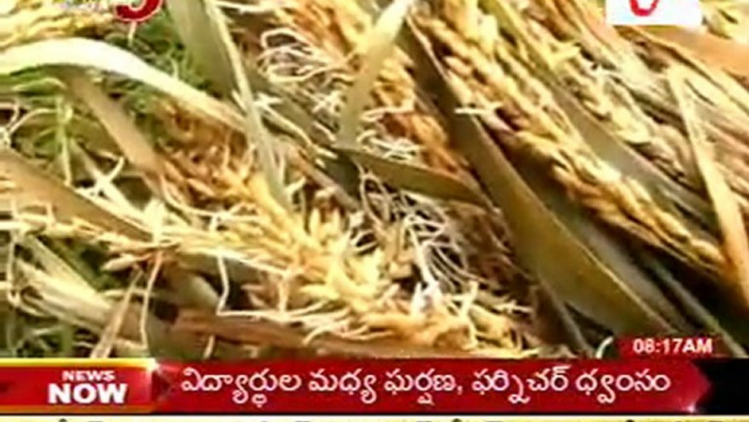 DS inspects rain hit paddy fields