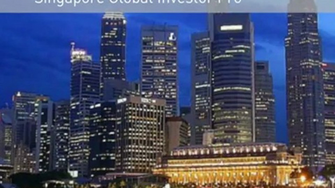 Global Investor Programme