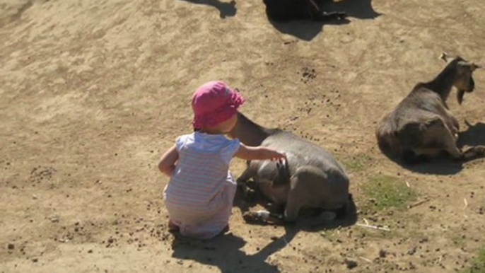 balade au zoo de Peaugres en Ardéche