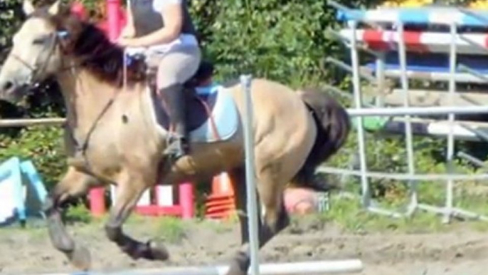 saut d'obstacle avec Idaho cheval d'1m65 au garrot