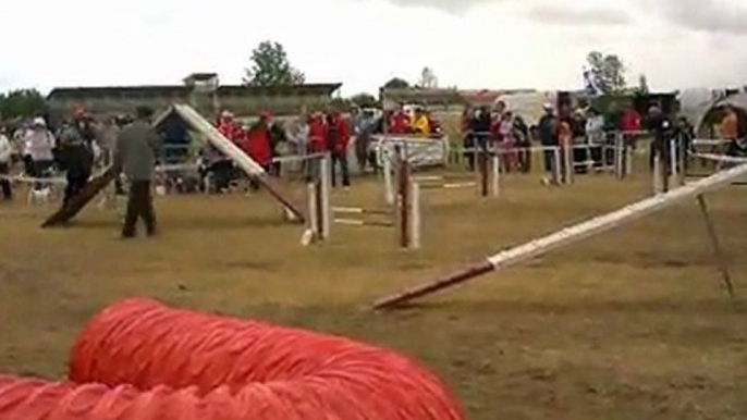 Concours agility luçon 17 juillet 2011 morgane et easydo