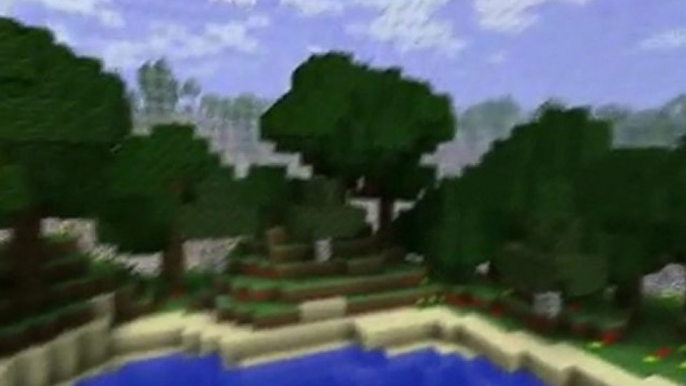 Minecraft-Form-This-Way-(Minecraft-Parody-of-Lady-Gagas-Born-This-Way)[www.savevid.com]