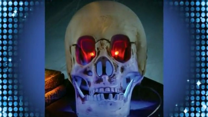 Animated Skull Halloween Prop