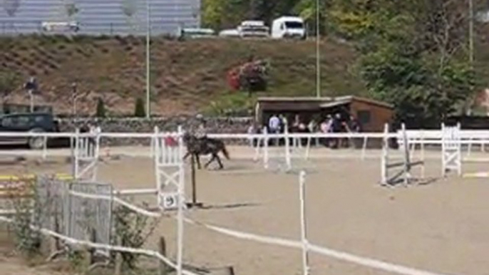 Saut d'obstacle a cheval