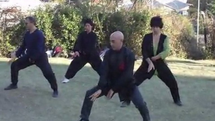 Taiji Quan a Roma con il Maestro Flavio Daniele, Taiji Quan stile chen