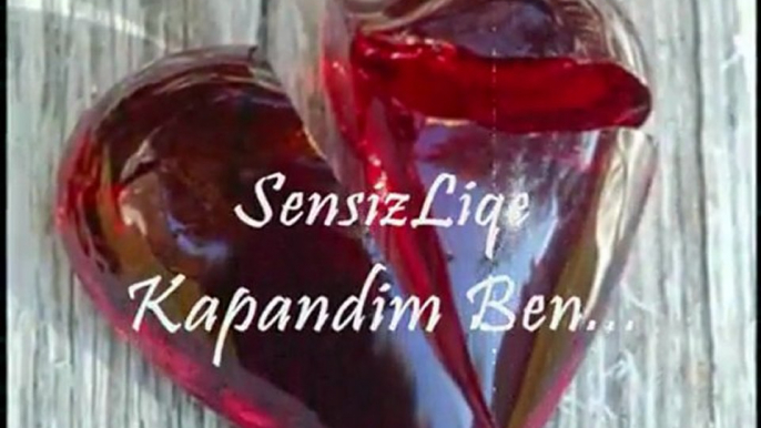 ¦ Sen Benimsin Sen Can ms n ¦  Süper Slow Şark   ( o9.o1.2oo7 )