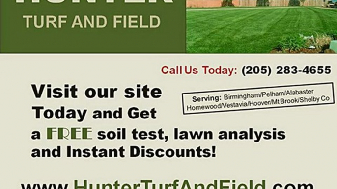 Lawn Care Pelham Al - Best Lawn Services