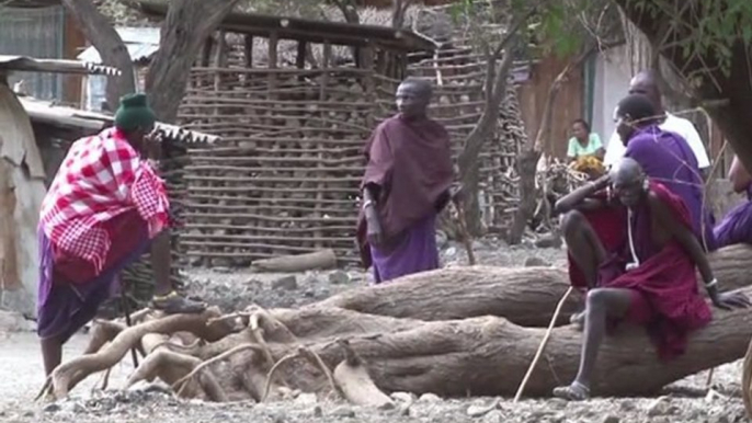 Tanzania: química vs flamencos