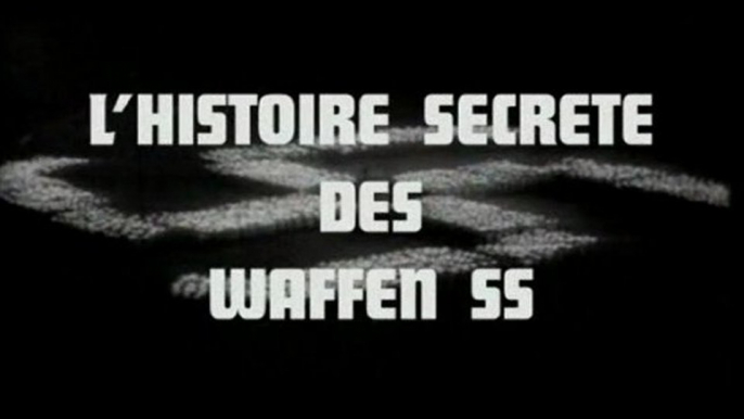 l'histoire secrete des waffen ss (1)