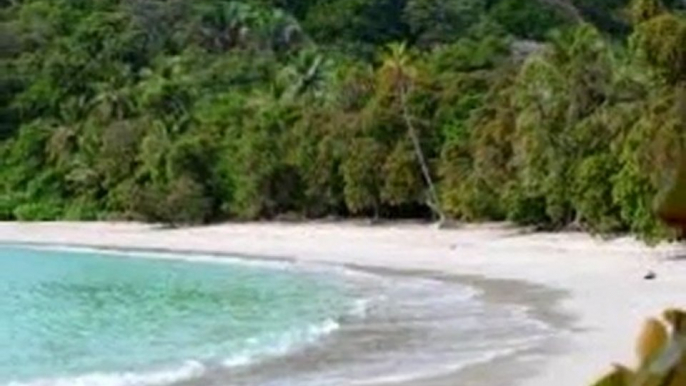 Costa Rica hotels hostels tours tickets booking by www.hotelworld.co