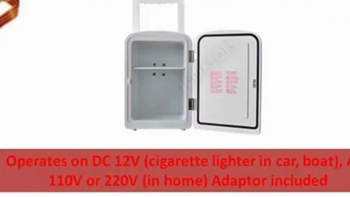 CHEAP Mini Fridge - 4 Liter AC/DC Portable Mini Fridge Cooler Warmer (White)