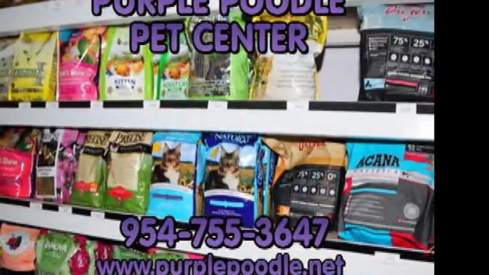 Purple Poodle Pet Center, 954-755-3647 Wheaten Groomer Shitzu, Poodle, Care. Coral Springs, Fl, www.purplepoodle.net, Pet Supplies Boarding, Dog Groomer, Pet Store. Purple Poodle Coral Springs Dog Grooming.