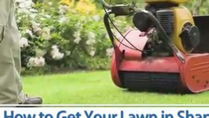 How To Get Your Lawn in Shape!