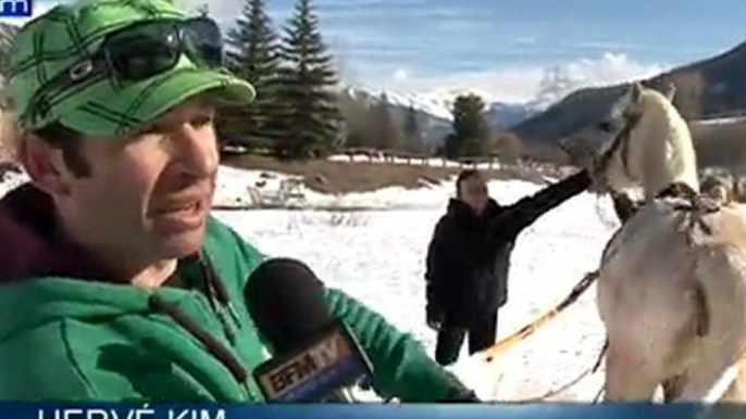 Le ski joëring, un sport alliant ski et équitation