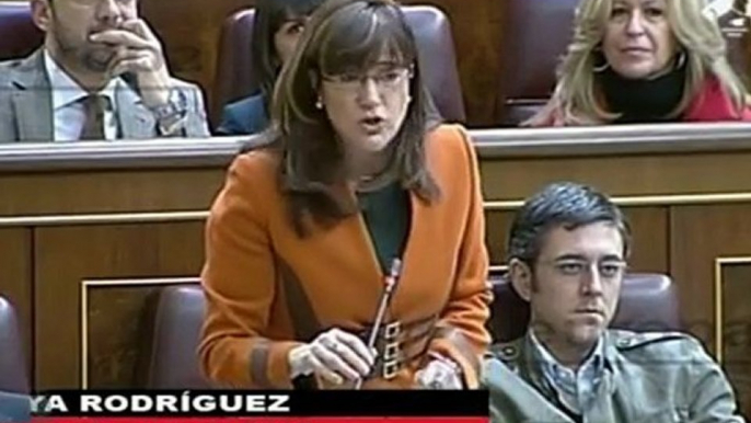 Wert irrita al PSOE en el Congreso