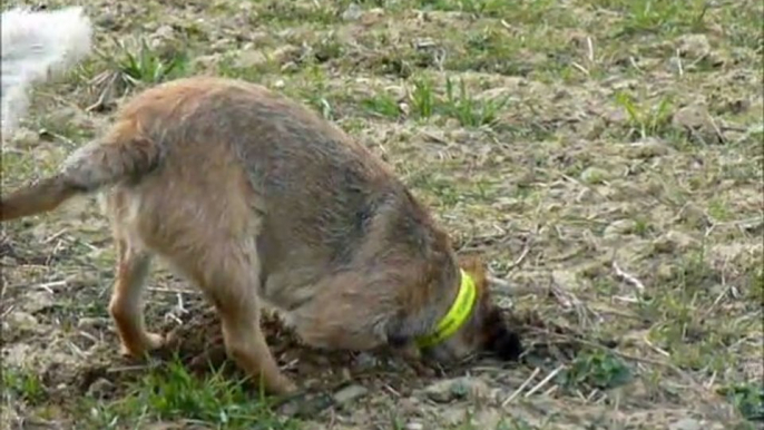 Ox que c'est froid !