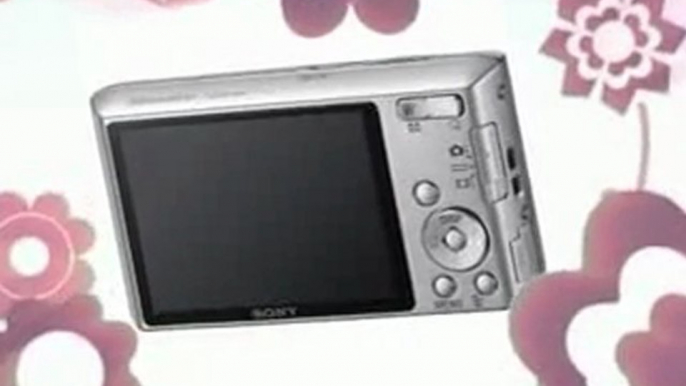 Sony Cyber-shot DSC-W610 14.1 MP Digital Camera Preview | Sony Cyber-shot DSC-W610 14.1 MP Digital Camera Sale