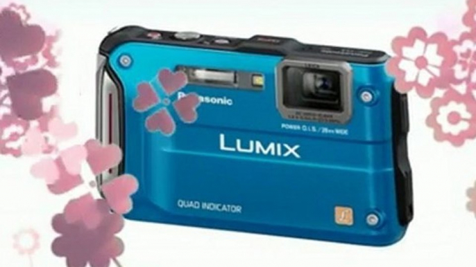 Bargain Review - Panasonic Lumix TS4 12.1 TOUGH ...