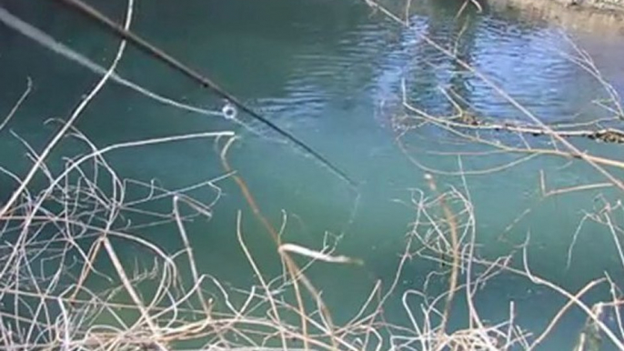 Venez pêcher avec moi - grosse truite au streamer mars 2012