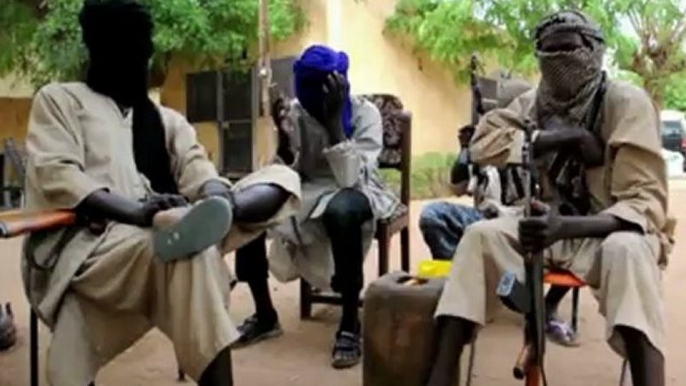 Amputations as punishment in Islamist northern Mali