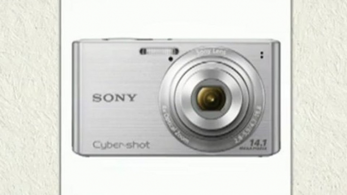 Sony Cyber-shot DSC-W610 14.1 MP Digital Camera Review ...