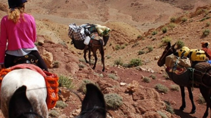 Equitrekking Morocco Equestrian Outdoor Sport Travel - Horseback Riding