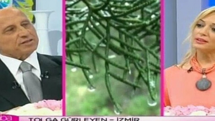 Adnan Oktar'ın Yaşar Nuri Öztürk'ün Hz. Mehdi (as) ile ilgili yanılgılarına cevap 1