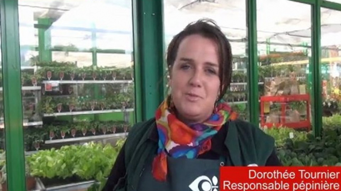 Aveyron : des arbres fruitiers dans le jardin potager