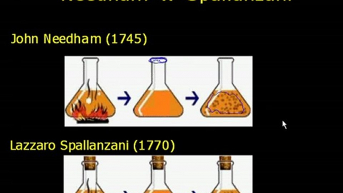 Vídeo Aula Teorias da origem da Vida - Veja mais em: http://www.estudandodecasa.blogspot.com.br/