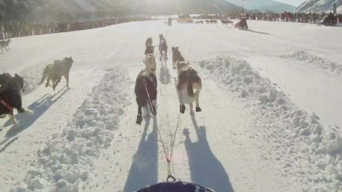 Riding with the Champ' - on board Radek Havrda's sled on La Grande Odyssée 2012 trail