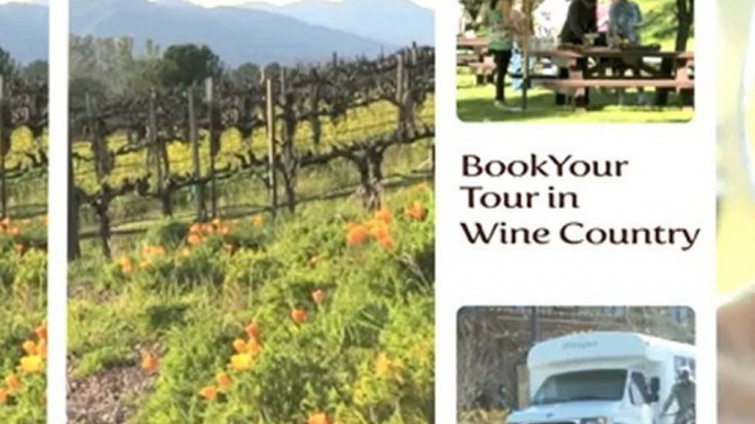 Top Wine Tour, Napa, California Wine Country, Visit Vineyards, Platypus stories