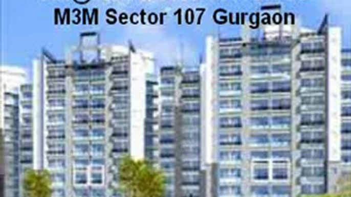 9873471133 M3M Sector 107 Gurgaon 9810309288