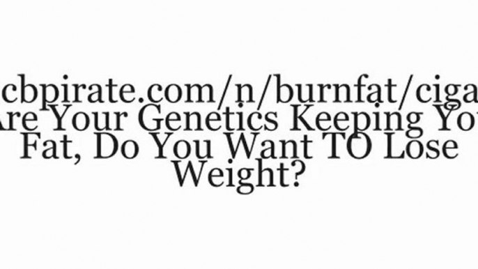 Burn The Fat. Get Rid Of Stubborn Belly Fat. Learn To Lose Weight & Lose Belly Fat.