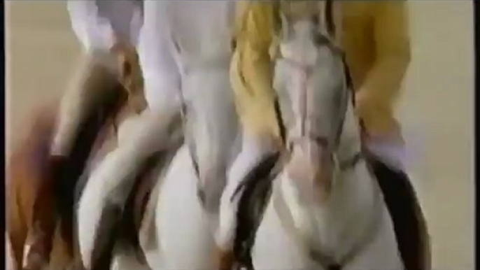 Arabian Desert - Horse Lover Gifts | Videos about Horses | Horse Videos