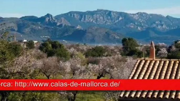 Ferienhaus / Finca Mallorca TKH865