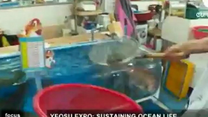 EURONEWS - Yeosu Expo, sustaining ocean life - SeaOrbiter