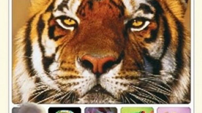 Children Book Review: National Geographic Encyclopedia of Animals by Karen McGhee, George Mc Kay Ph.D.