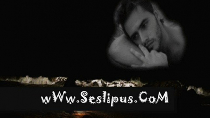 seslipus.com