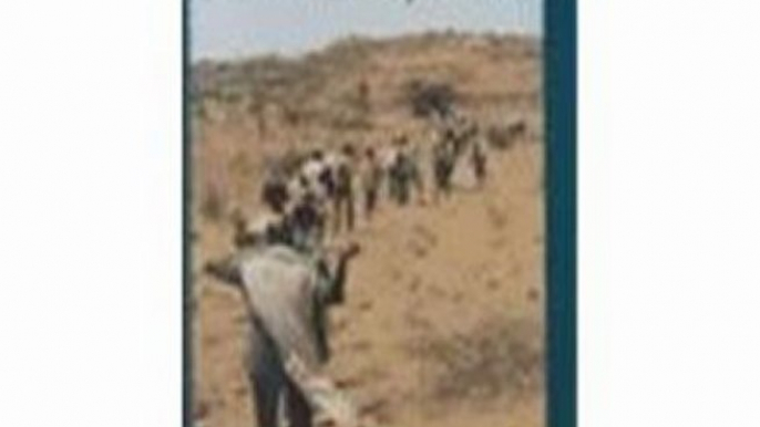 History Book Review: Brothers At War: Making Sense Of The Eritrean-Ethiopian War (Eastern African Studies) by Tekeste Negash, Kjetil Tronvoll